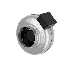 7000037_CK_125_A1_aut_tc.png